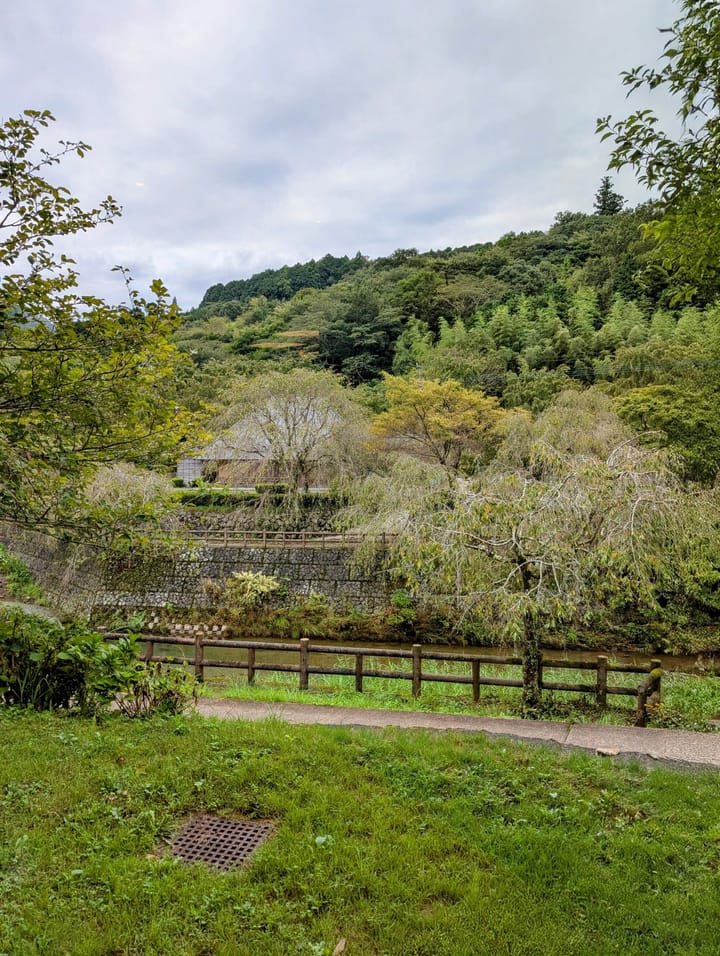 Overcast day with lush greenery, including many trees up the nearby mountain. A small stream and outbuildings in the near background.
